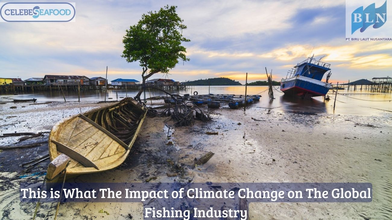 This is What The Impact of Climate Change on the Global Fishing Industry
